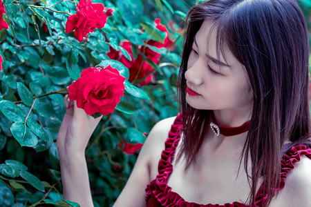 安徽省5年来新增94家华侨国际文化交流基地